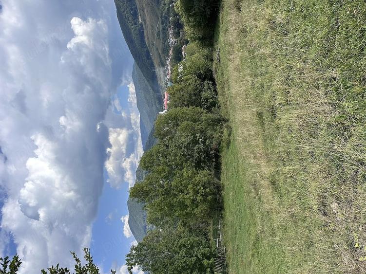 Teren de 5900 mp, în Trăisteni