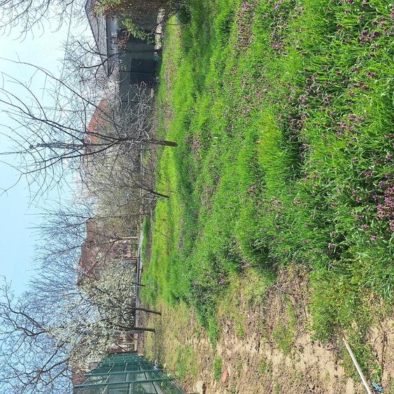 Apartament cu 2 camere decomandat în Nufărul