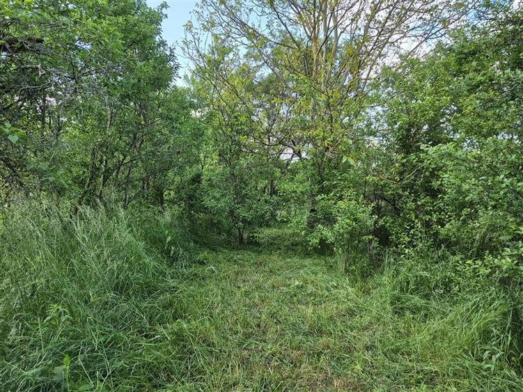 Casă individuală cu 2 camere cu Teren 2112 Mp în Sângătin