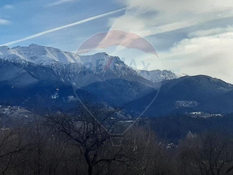 Teren Construcții intravilan de 2885 mp, în Predeluț