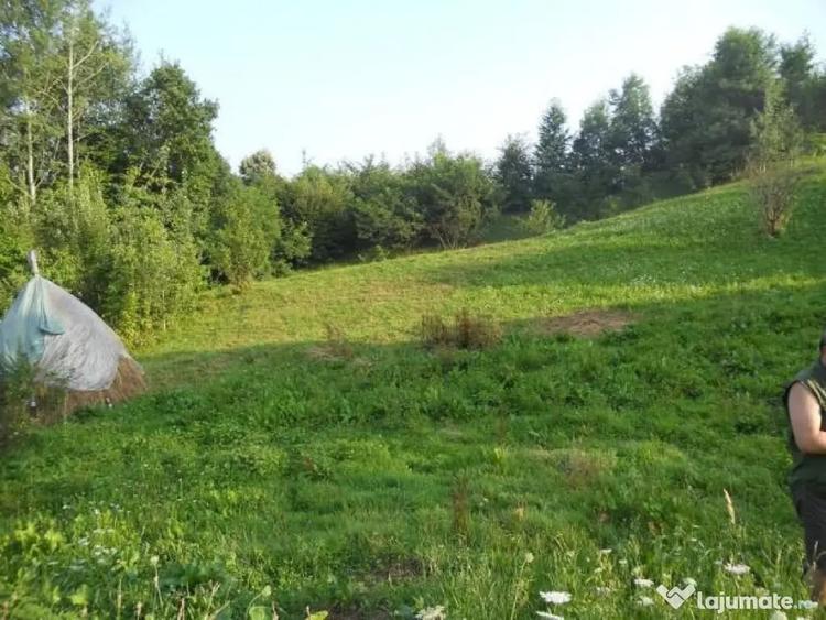 Teren de 1223 mp, în Lac de Verde