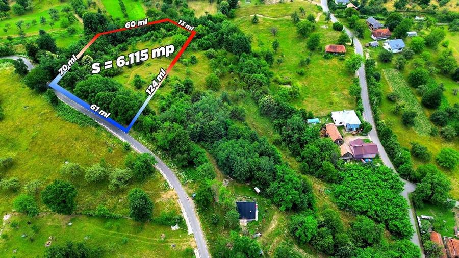Teren agricol intravilan de 6115 mp, în Dănești