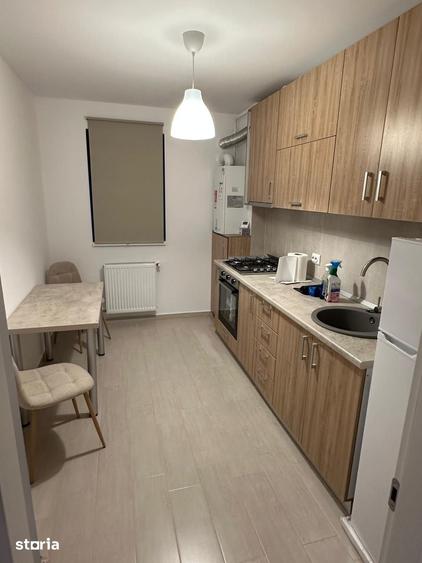 Apartament 2 camere de inchiriat Splaiul Unirii - cu gradina - 4