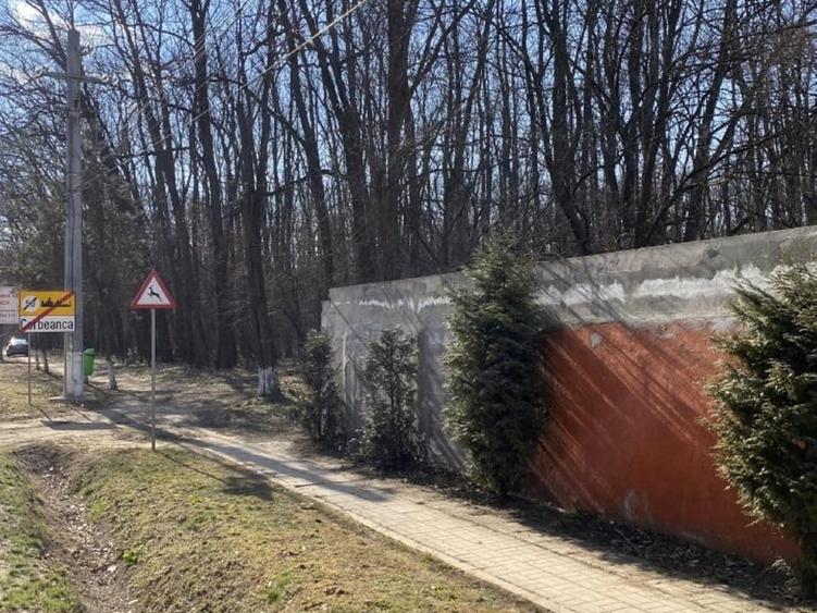 Teren agricol intravilan de 15000 mp, în Corbeanca