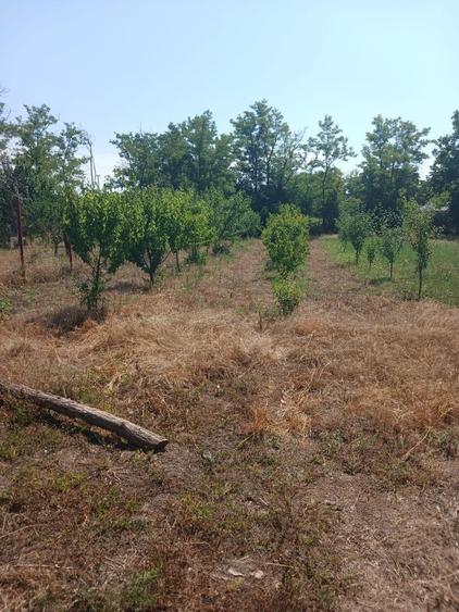 Casă cu 3 camere în Silistraru