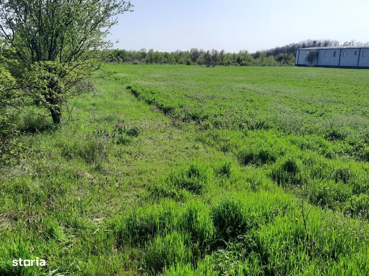 FARA COMISIOANE in Joita aproape de drumul asfaltat teren de 4600mp - 2
