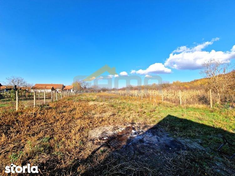 Casă cu 2 camere cu Teren 1464 Mp în Tauț