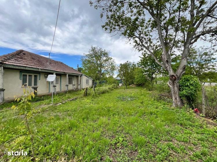 Casă cu 4 camere cu Teren 4430 Mp în Tecucelu Sec