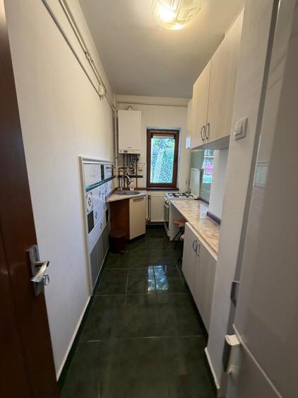 Baba  Novac Dristor Muncii - FARA INTRETINERE - Gradina proprie de 30MP - 6