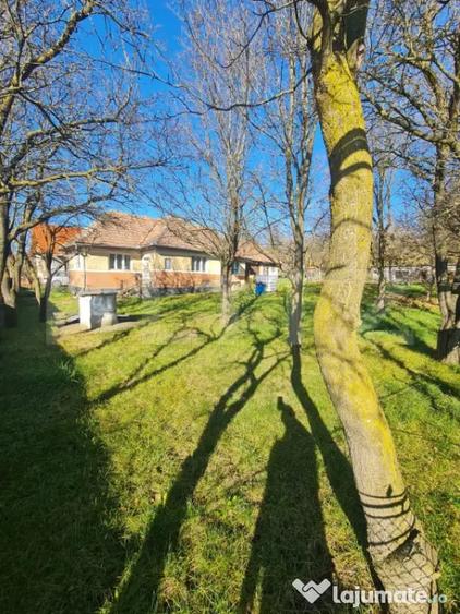 Teren de 2989 mp, în Bună Ziua