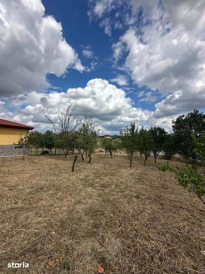 Teren Intravilan,Viile Satu Mare - 7