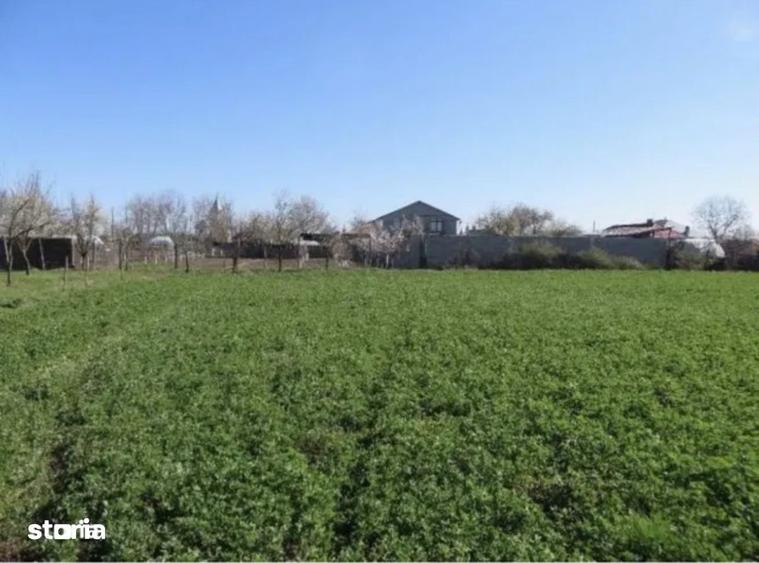 Teren de 3472 mp, în Chiscani