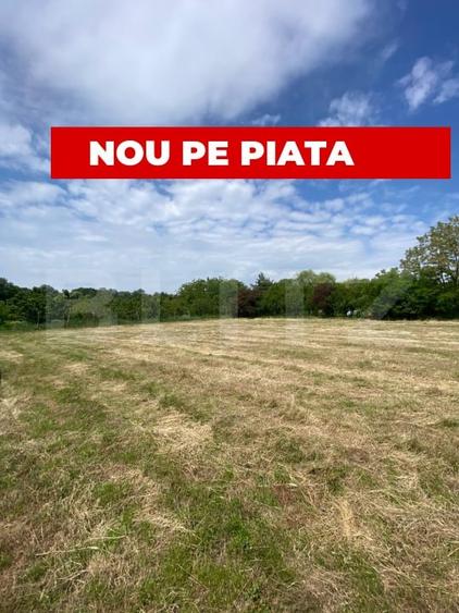 Teren intravilan, 820 mp, front 25 ml, zona Padure Giroc - 1