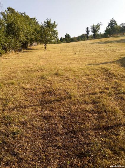 Teren de 2100 mp, în Rădăcinești