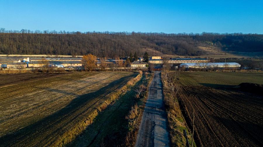Spațiu industrial, de 50,000 mp, în Horgești