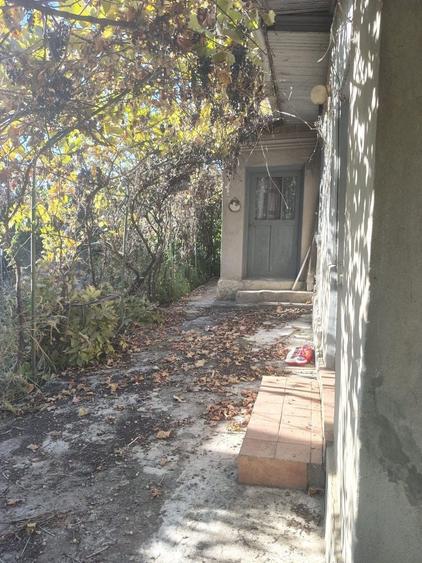 Casă cu 3 camere în Ulmu