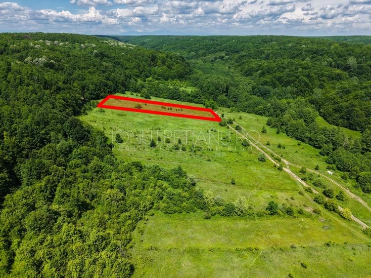 Teren agricol extravilan de 5500 mp, în Valea Mare-Podgoria