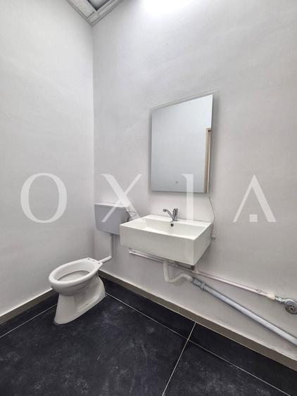 AX1198 Blascovici, Strada Maslinului, Spatiu Comercial, Comision 0% - 8