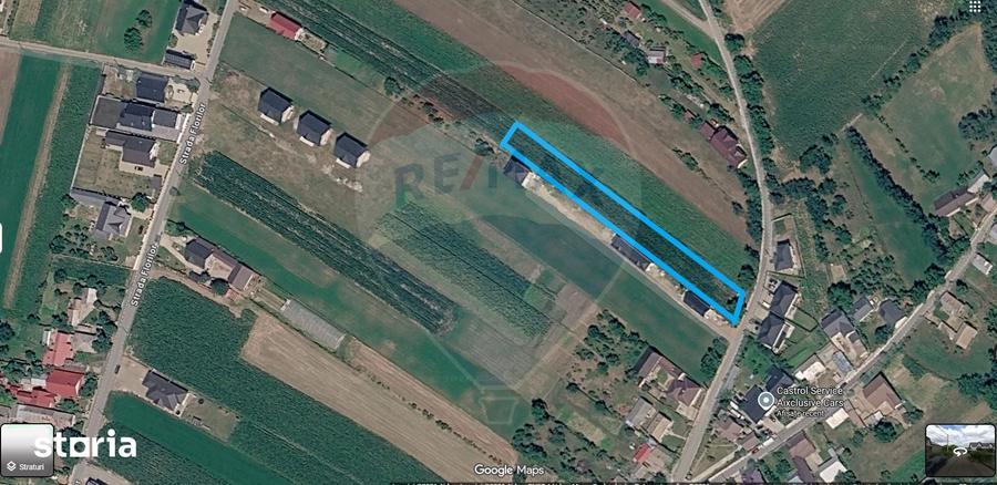 Teren de 2600 mp, în Lisaura