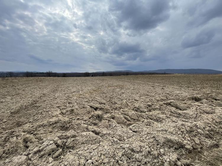 Teren agricol extravilan de 2300 mp, în Horodnic de Sus