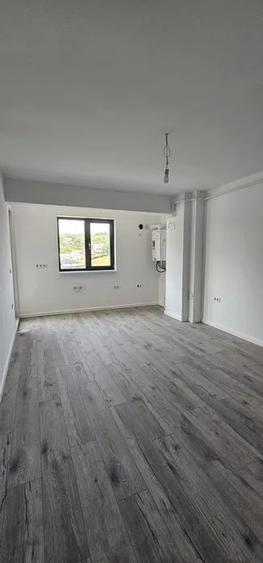 Apartament cu 2 camere semidecomandat în Vișani