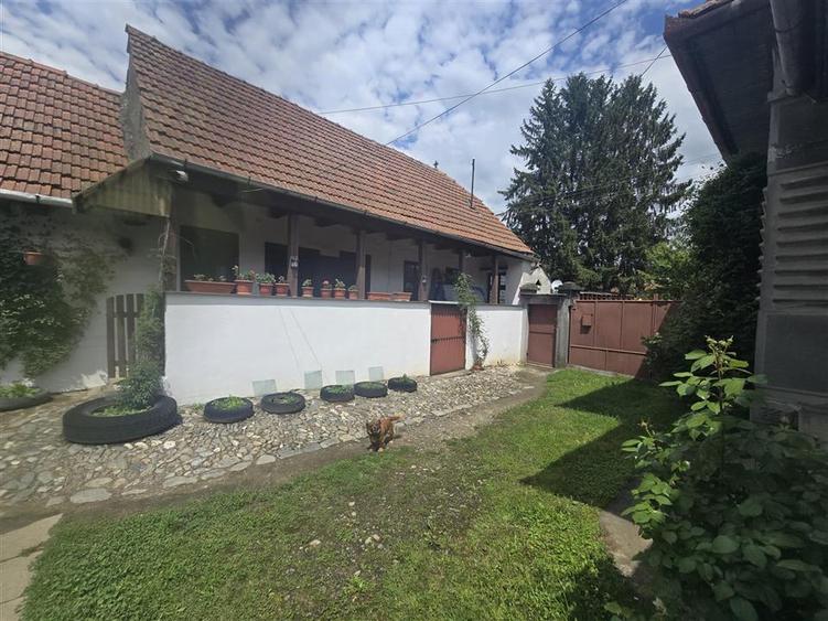 Gospodarie de vanzare in Voila - 2