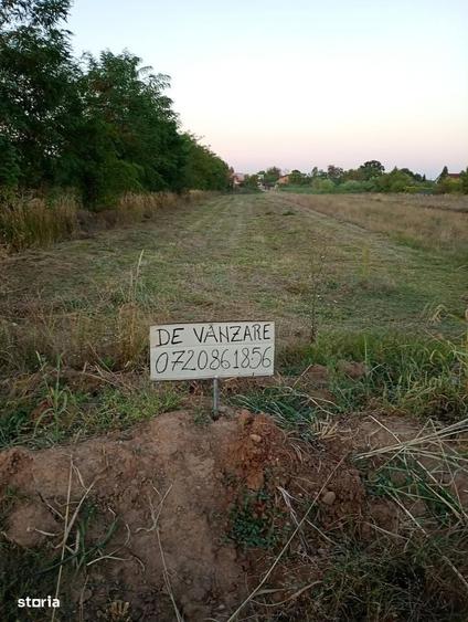Spațiu comercial, în Ciolpani