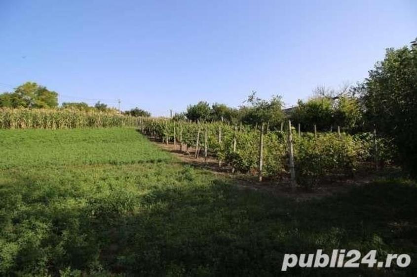 Casă cu 5 camere cu Teren 5000 Mp în Topolog