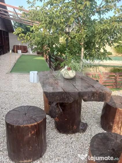 Casă cu 8 camere cu Teren 28000 Mp în Baba Ana