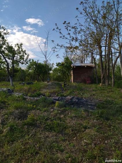 Teren de 2500 mp, în Mihăilești