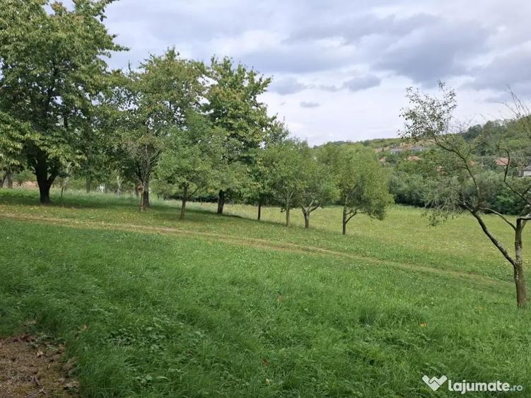 Teren intravilan pentru casa 1360 mp, la 10 minute de Zalau - 2