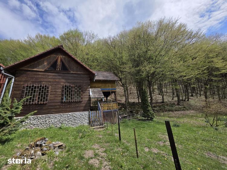 Casă cu 5 camere cu Teren 900 Mp în Ighiu