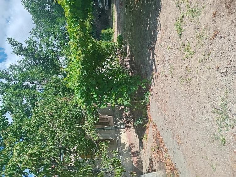 Casă cu Teren 883 Mp în Amara
