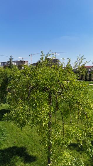 Apartament cu 2 camere decomandat în Chiajna