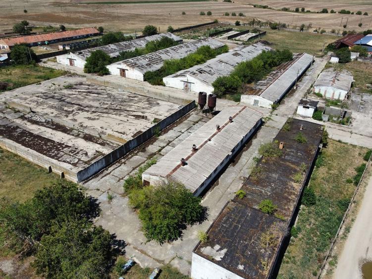 Spațiu industrial, de 7,950 mp, în Orțișoara