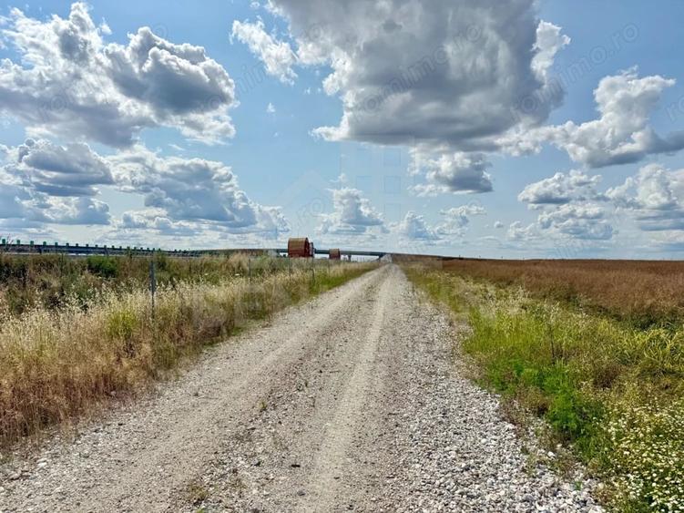 Teren de 9656 mp, în Pielești