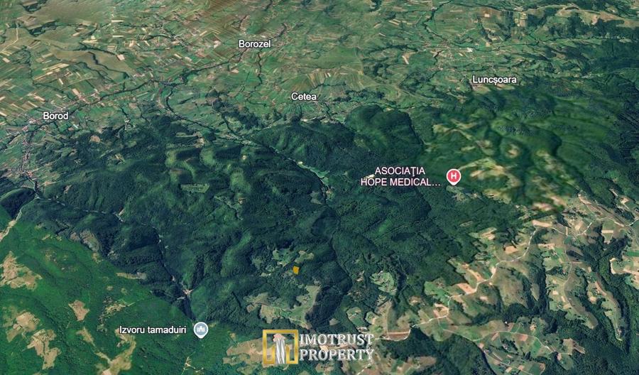 Teren extravilan de 82307 mp, în Borod