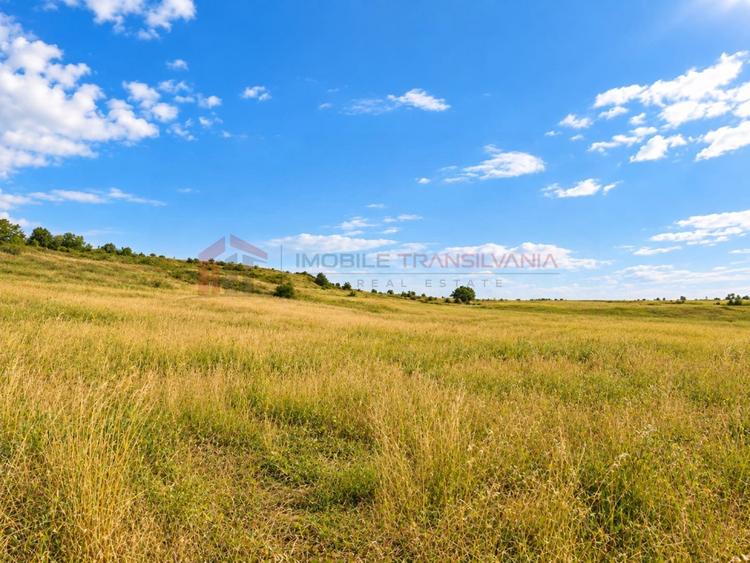 Teren Construcții intravilan de 3800 mp, în Pădureni (Chinteni)