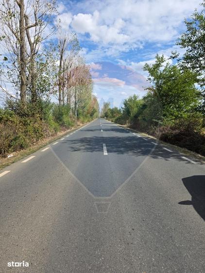 Teren de 5000 mp, în Ciolpani