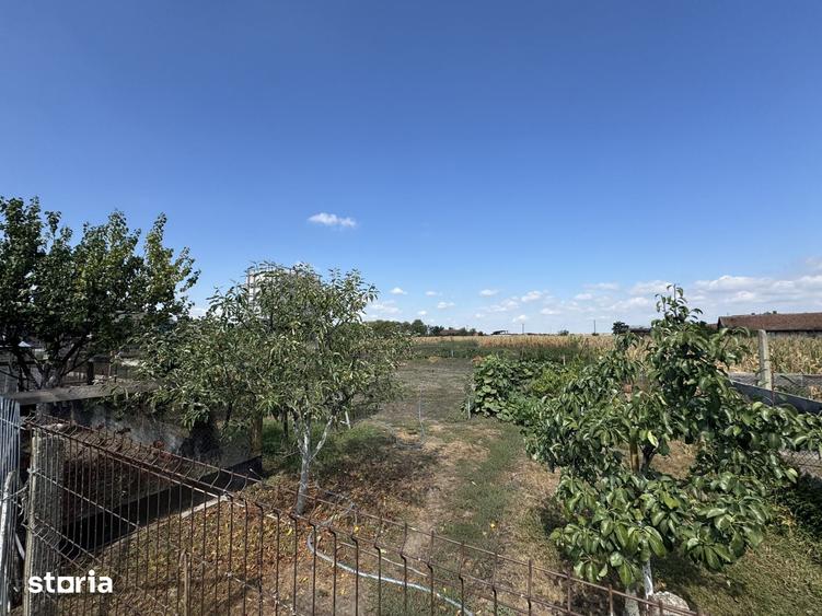 Casă cu 3 camere cu Teren 1483 Mp în Moftin