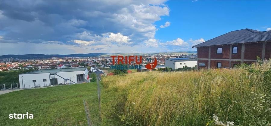 Spațiu comercial, în Cetate