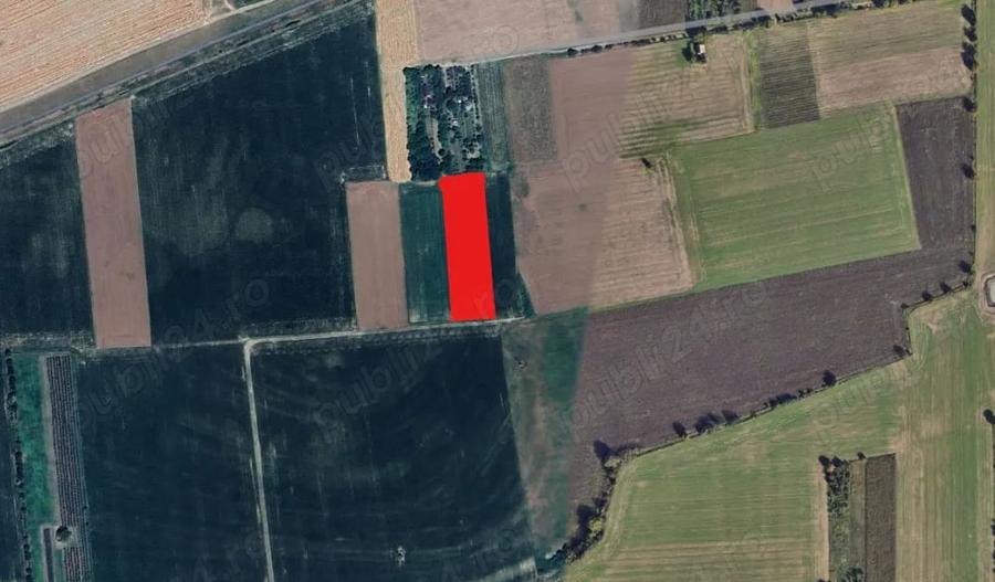 vand teren extravilan 38 arii intre Satu Mare si Vetis - 3