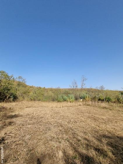 Teren de 2500 mp, în Tisău