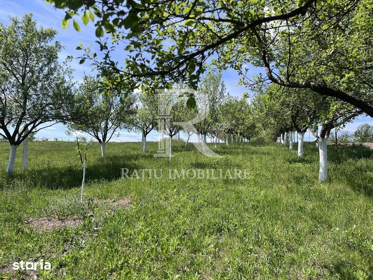 Casă cu 1 camere cu Teren 3000 Mp în Copăcel
