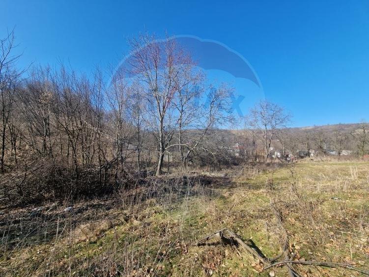 Teren Construcții intravilan de 4985 mp, în Sascut