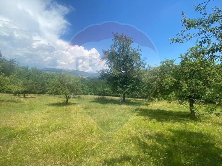 Teren Construcții intravilan de 12458 mp, în Văleni (Meteș)