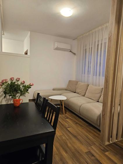 Apartament cu 2 camere semidecomandat în Roșu