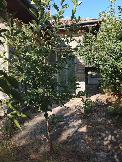 Casă cu 3 camere în Lipia