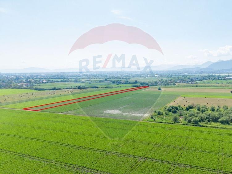 Teren agricol intravilan de 11500 mp, în IAR