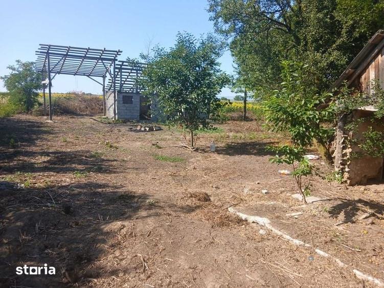 Teren intravilan cu casa si anexe - 7